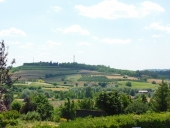 Casa Vacanze in Piemonte nel Monferrato Langhe e Roero
